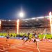 Final da Liga Diamante em Bruxelas com três atletas portugueses