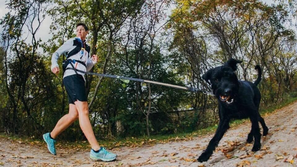 Canadiana Kat Clewley bate recorde mundial de 100 km de costas